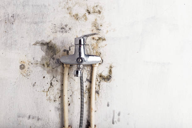 Best Mold Cleaning Services  in Marseles, IL