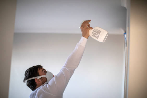 Professional Mold Removal in Marseilles, IL